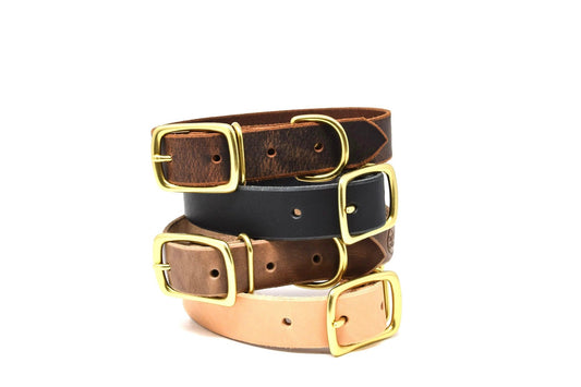 Full Leather Dog Collar - Whiskey Leatherworks